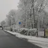 zack_084