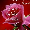 srdar.amjad2