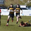 michaelgaston31