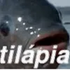 tilapia0918