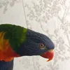 unknownuserprofile_