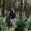 low_fokus