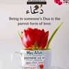 akhmed130