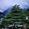 user3658736618317