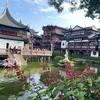 vanlinh021203