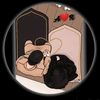abdul.sameer159
