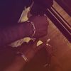arike__046