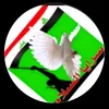 vdjsn09