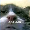 9181986436010819_y