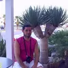 dalalaugigi