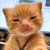 user1120041922ky