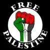 hamdimohamed462
