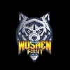wushenfight