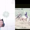 marcelo.santos7447
