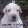 aairam.w