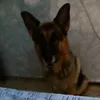 movidastomasreales
