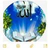 user7934604990680