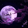 2233ali7