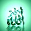 rewehy_khedr1