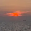 vt.thyoung