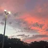 ellieblair0