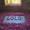 lolollo266