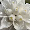user9510608083380