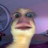 amandos._.0