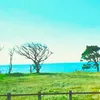 ponta807