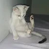 ___michele_