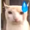 daquydeptroai4