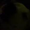 .rafl_