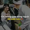 tangphong88