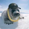 sobaka_kafki