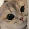 user172803770