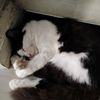 molyandfamily2