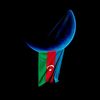 052qasim