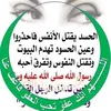 hassanarabi782