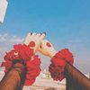 amal_rajpoot19