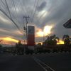 surya_filter33