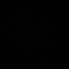 n.s_51