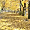 binhminhsb0