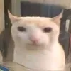 tahazzak