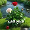 user296096262507