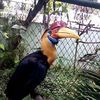 rezaalrasyid1