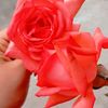 user9202033036258
