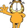 therealgarfieldthecat5