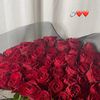 dr.tasneem13