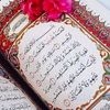 shehabmahmoud22