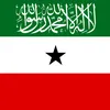 alhashimya14